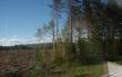 Suomijos Karelijos mikai