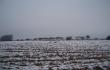 Sniegas Latvijos laukuose paskutin iemos dien