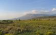 Avys ir Albanijos kalnai