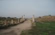 Akmeninis takas ir kolonos senoviniame mieste, Salamis