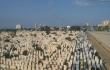 domu, o iuose Tel Avivo kapuose yra nors vienas i t 50 vyriki, dalyvavusi aukcione Jafos papldimyje prie imt met?
