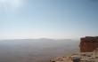 Saul vir Makhtesh Ramon kraterio ir Negevo dykumos (Baltoji dykumos saul)
