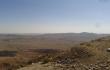Bandymai augti Negevo dykumoje
