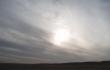 Baltoji dykumos saul suka link ems ir Egipto