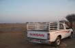 Mano transportas Omane, kuriuo atvažiavome į fermą
