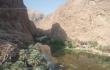 Vanduo Omano oazėje