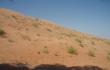 Čia ne aš pasviręs fotografuoju, čia tokie mane pasitinka Vahibos smėlynai Omano Sultonate