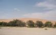 Smėlio kalnai pakeliui į Livos oazę
