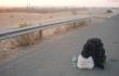 Mano autostopas saulei kylant Jungtiniuose Arabų Emyratuose