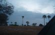 Labas pirmas rytas Jordanijoje - visai netoli oro uosto, žiedinės sankryžos arimuose, užtat su palmėmis