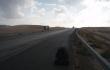 Antrą kartą pastebėta kelyje Amman-Aqaba