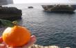 Apelsinas ir viduržiemio popietė [Malta taip pat. Vieno pasivaikščiojimo istorija, 2018]