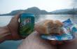 Pusryčiai šalimais Bledo ežero [Šiandien prieš dvidešimt metų. Po kuprine, 2019]