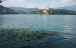 Augmenija Bledo ežere [Šiandien prieš dvidešimt metų. Po kuprine, 2019]