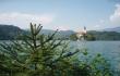 Augmenija šalia Bledo ežero [Šiandien prieš dvidešimt metų. Po kuprine, 2019]