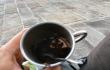 Kažkas išgėrė mano arbatą Venecijoje [Šiandien prieš dvidešimt metų. Po kuprine, 2019]