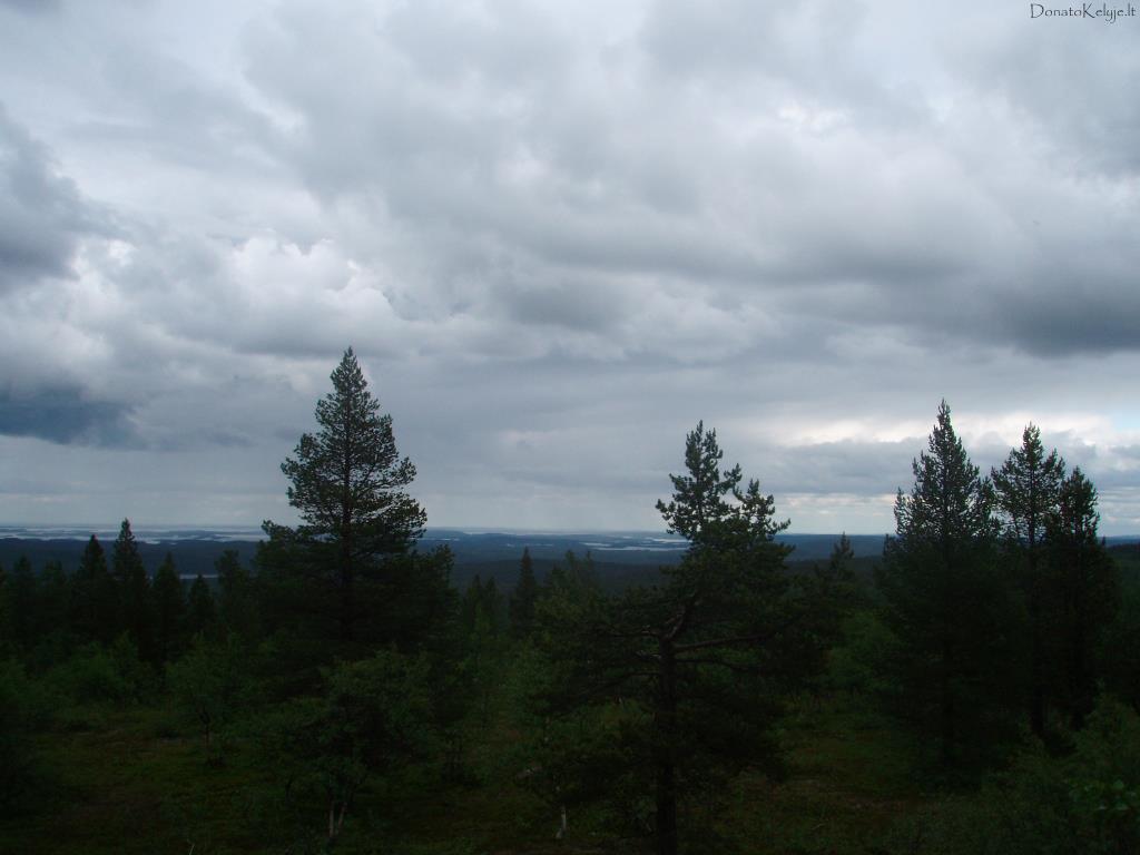 Inario e�eras ir med�iai