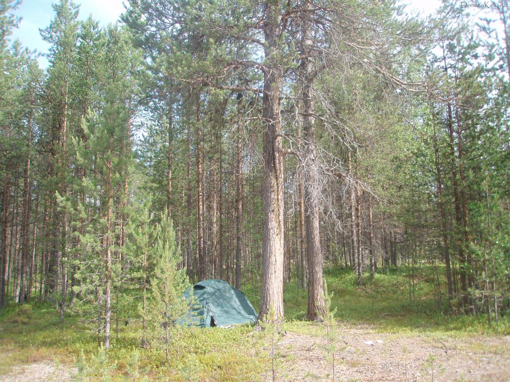 �alias namukas-palapin� ryte, po nakvyn�s mi�ke, Inario miestelio ir e�ero pa�on�je