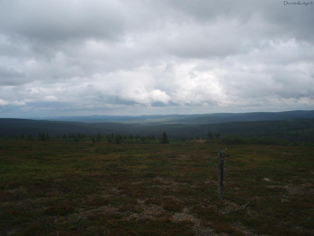 Buv�s medis (Vien� toki� tokio bir�elio popiet� Saariselkoje)