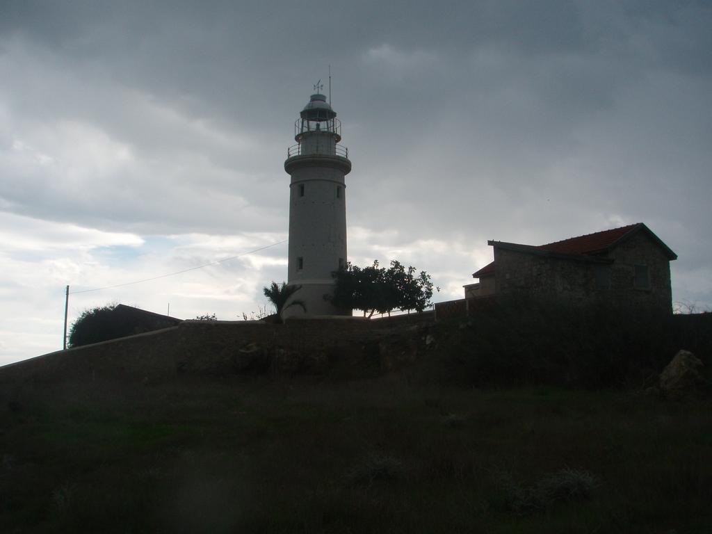 vyturys be mans. Kato Paphos, Kipras