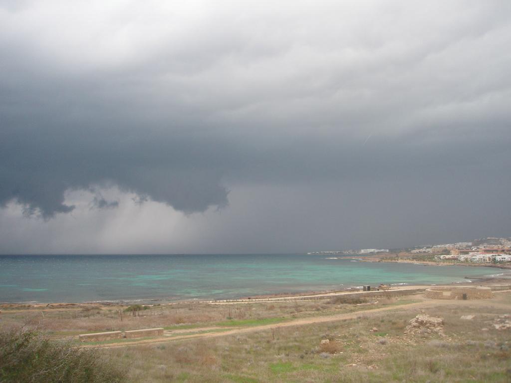Toje pakrantje inakt miegota. Kato Paphos, Kipras