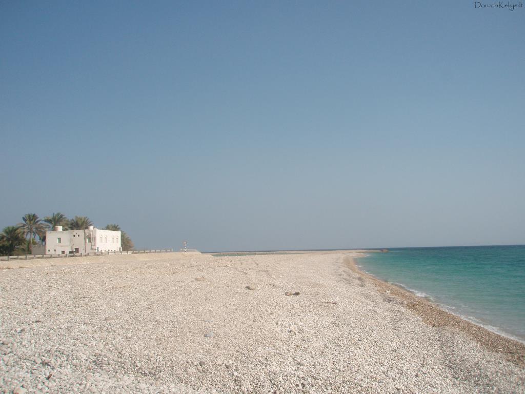 Ne Palanga